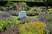 BEEHIVE IN HERB GARDEN