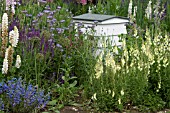 BEE BORDER, CAMBRIDGE UNIVERSITY BOTANIC GARDEN