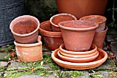 TERRACOTTA POTS ON MOSSY PATH