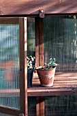 POTS IN A WINTER COLDFRAME