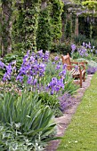 IRIS JANE PHILIPS, NEPETA, GERANIUM & STACHYS