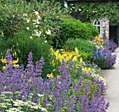 BLUE & YELLOW HERBACEOUS BORDER