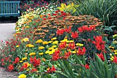 MIXED HERBACEOUS BORDER