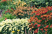 MIXED HERBACEOUS BORDER