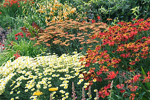 MIXED_HERBACEOUS_BORDER