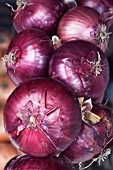 ONION RED BARRON