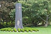 SCULPTURE OF TREE WITH BUXUS SEMPERVIVENS ROOTS