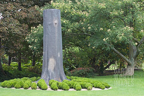 SCULPTURE_OF_TREE_WITH_BUXUS_SEMPERVIVENS_ROOTS