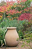 RHUS, BERBERIS & CISTUS