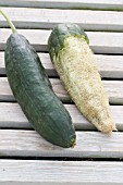 LUFFA AEGYPTIACA