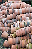 TERRACOTTA FLOWER POTS