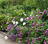 OLD FASHIONED ROSES WITH PEONY & ALLIUM