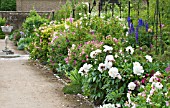 OLD FASHIONED ROSES WITH PEONY, PINKS, DELPHINIUM & GERANIUM