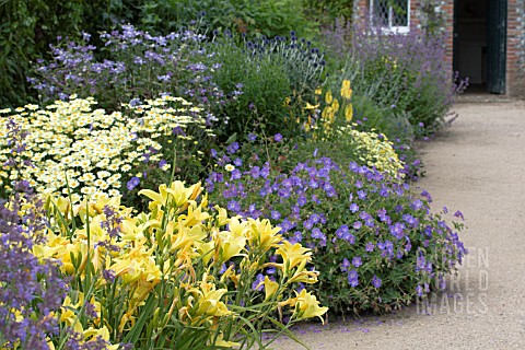 BLUE__YELLOW_HERBACEOUS_BORDER