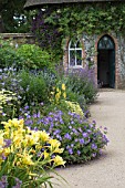 BLUE & YELLOW HERBACEOUS BORDER