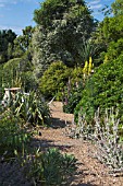 TREE, SHRUB & HERBACEOUS PLANTING IN GRAVEL PATHWAYS