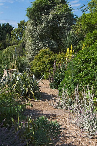 TREE_SHRUB__HERBACEOUS_PLANTING_IN_GRAVEL_PATHWAYS