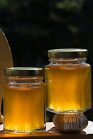 HONEY_IN_JARS_READY_FOR_SALE