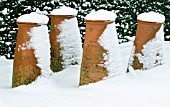 TERRACOTTA RHUBARB CHIMNEY FORCING POTS