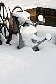 WATERING CANS IN THE SNOW