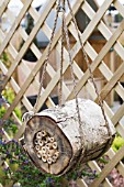 ECO-FRIENDLY INSECT HOME