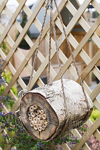 ECOFRIENDLY_INSECT_HOME