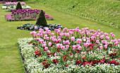 SPRING BEDDING SCHEMES