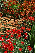 COLOURFUL HERBACEOUS BORDER