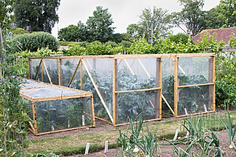 INSECTPROOF_CAGES_PREVENTING_CABBAGE_WHITE_BUTTERFLY