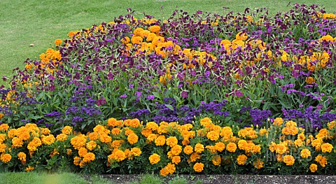 ORANGE_AND_PURPLE_SUMMER_BEDDING_SCHEME