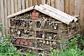 INSECT HOTEL