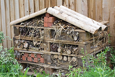 INSECT_HOTEL