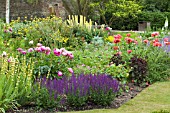 HERBACEOUS BORDER