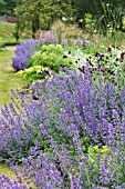 HERBACEOUS BORDER