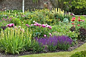 MIXED HERBACEOUS BORDER