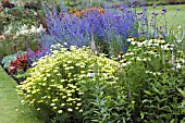 MIXED HERBACEOUS BORDER