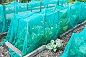 GARDEN NETTING