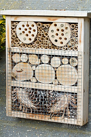 INSECT_HOME