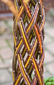 SALIX ALBA VAR VITELLINA - TRIPLE WEAVING TO MAKE OPEN STEM