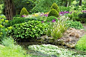 WOODLAND STREAM PLANTING