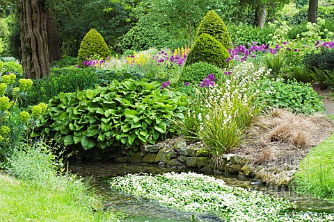 WOODLAND_STREAM_PLANTING