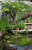 COURTYARD WATER FEATURE