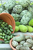 COLLECTION MINI-GOURDS