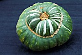 CUCURBITA PEPO TURKS TURBAN