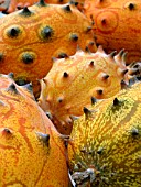 KIWANO (CUCUMIS METULIFERUS)