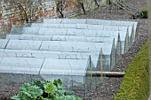 GLASS CLOCHES