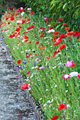 PICTORIAL MEADOW SHORT CLASSIC ANNUALS