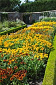 RUDBECKIA TRIAL