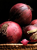 ONION RED BARON (ALLIUM CEPA)