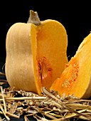 CUCURBITA MOSCHATA, (BUTTERNUT SQUASH), (CROSS SECTION)